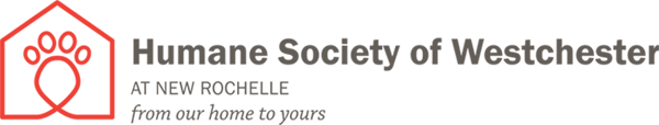 Barkbelly Partners with the Humane Society of Westchester